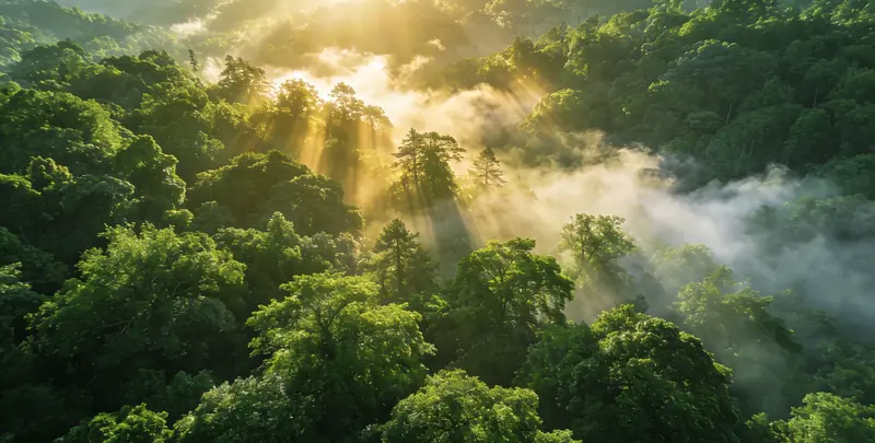 鸡西肺癌11基因检测组织版检测图1