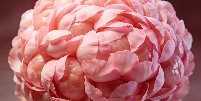 鸡西乳腺癌21基因mRNA表达分析检测图1