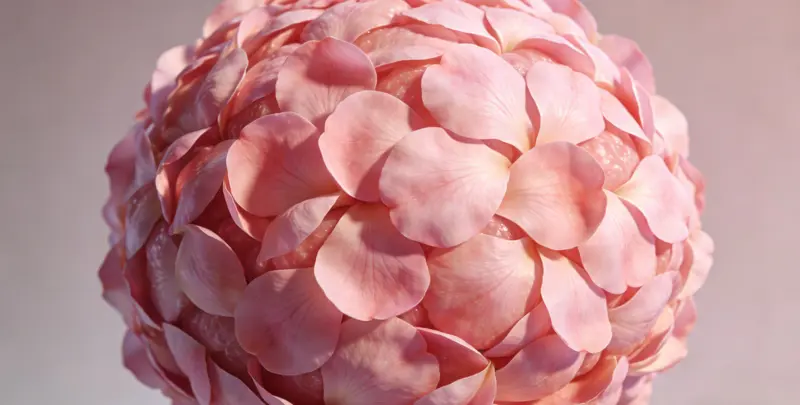 乳腺癌21基因mRNA表达分析图4